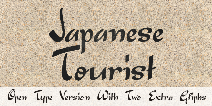 Japanese Tourist